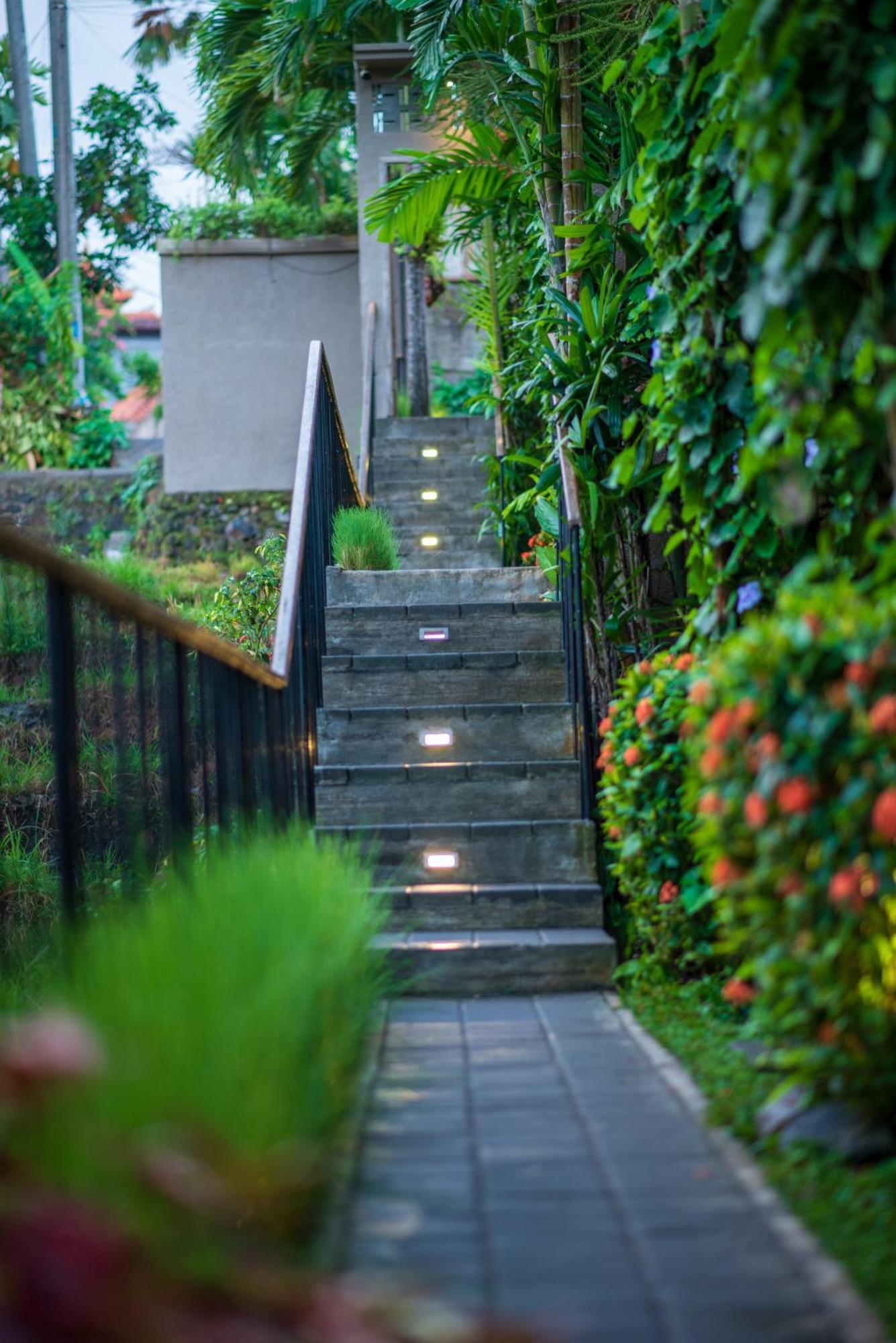 קנגו Pangkung Sari Bed And Breakfast מראה חיצוני תמונה