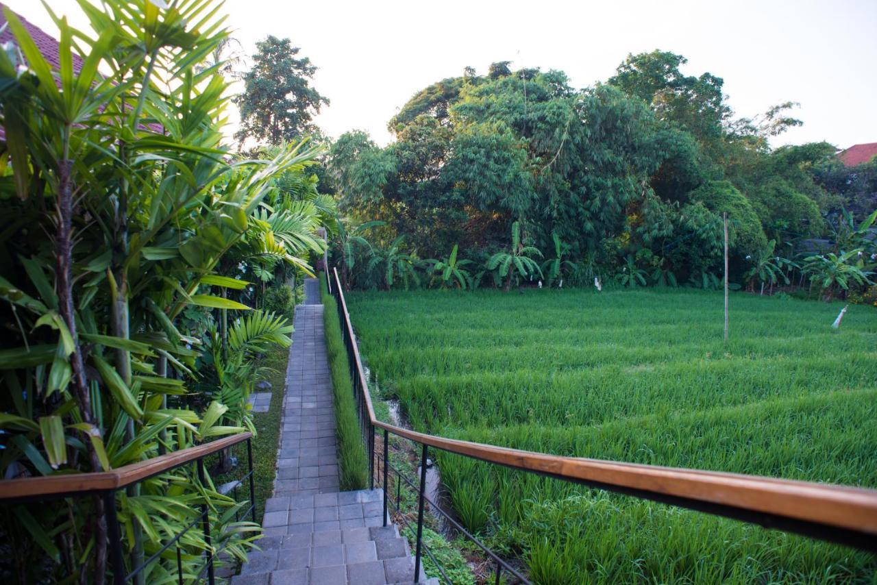 קנגו Pangkung Sari Bed And Breakfast מראה חיצוני תמונה