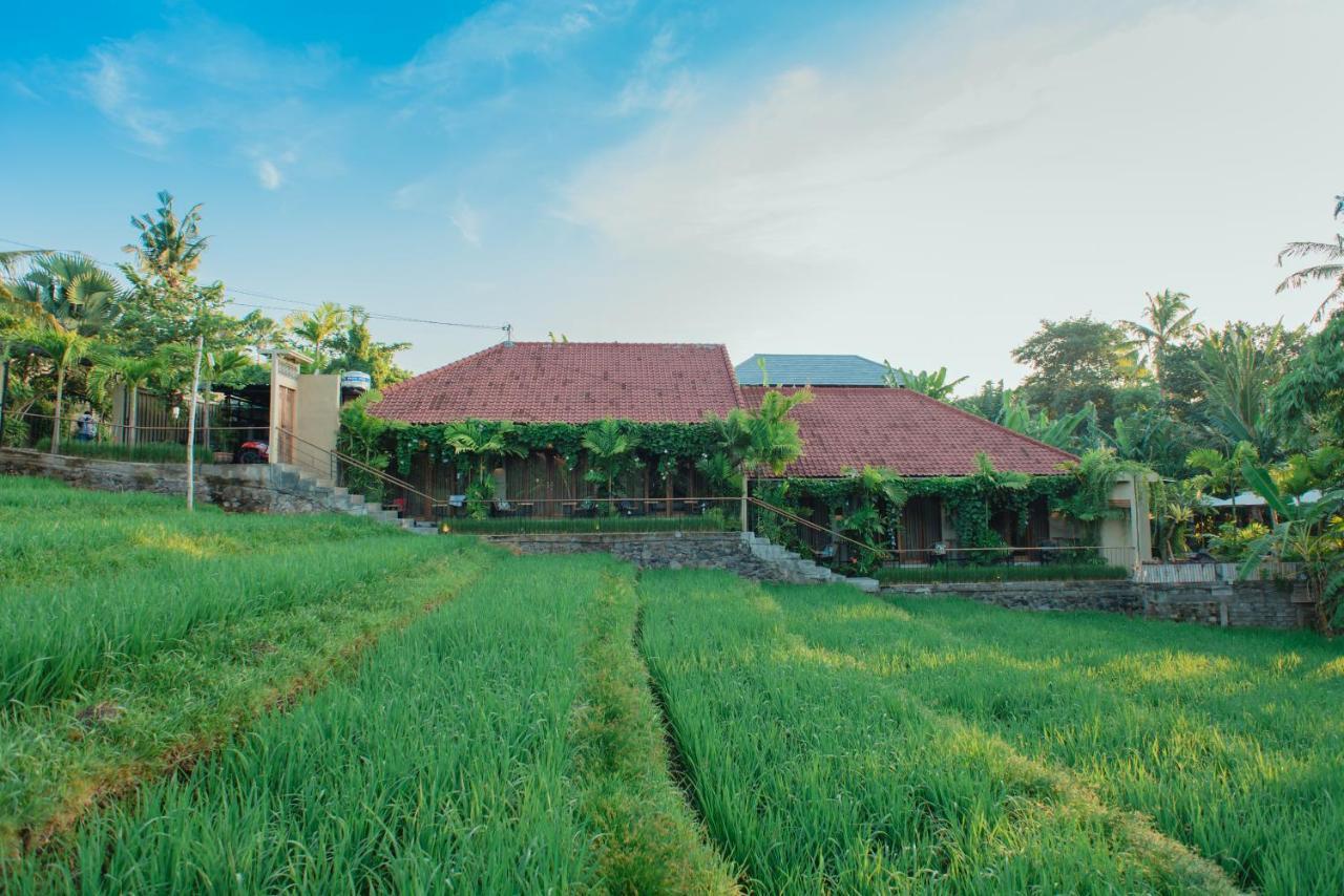 קנגו Pangkung Sari Bed And Breakfast מראה חיצוני תמונה